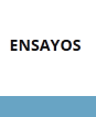 Ensayos